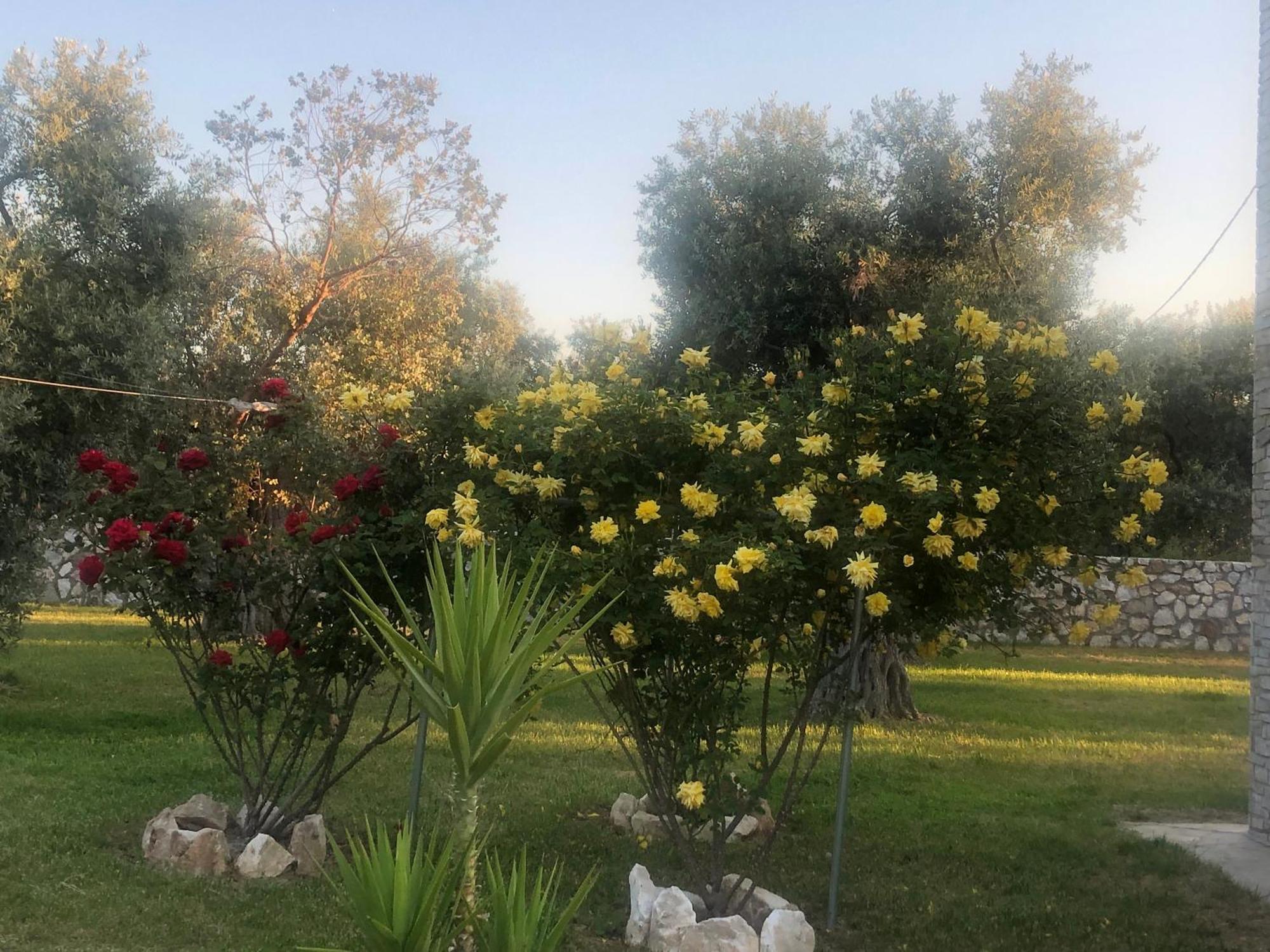 Villa Arhondula Prínos 外观 照片